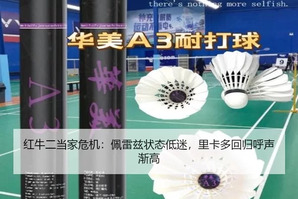 hong-niu-er-dang-jia-wei-ji-pei-lei-zi-zhuang-tai-di-mi-li-ka-duo-hui-gui-hu-sheng-jian-gao-2-397.jpg