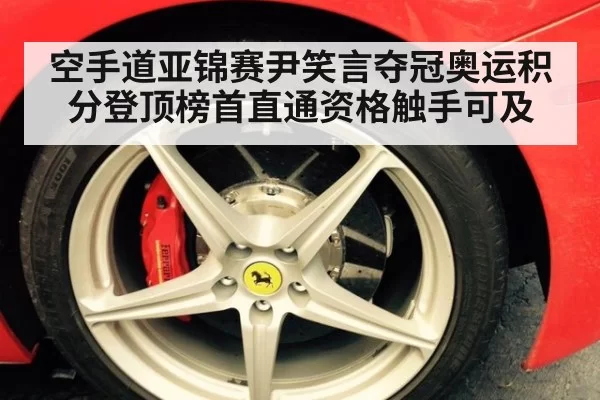 空手道亚锦赛尹笑言夺冠奥运积分登顶榜首直通资格触手可及