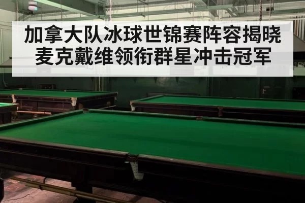 加拿大队冰球世锦赛阵容揭晓 麦克戴维领衔群星冲击冠军